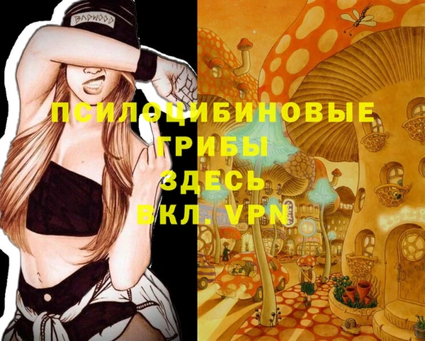 крисы Алексин