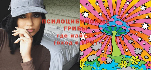 крисы Алексин