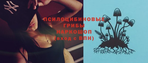 дживик Алексеевка