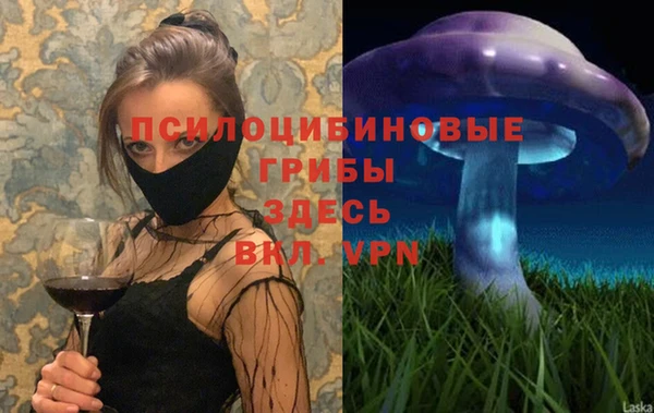 круглые Алзамай