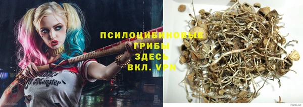 круглые Алзамай